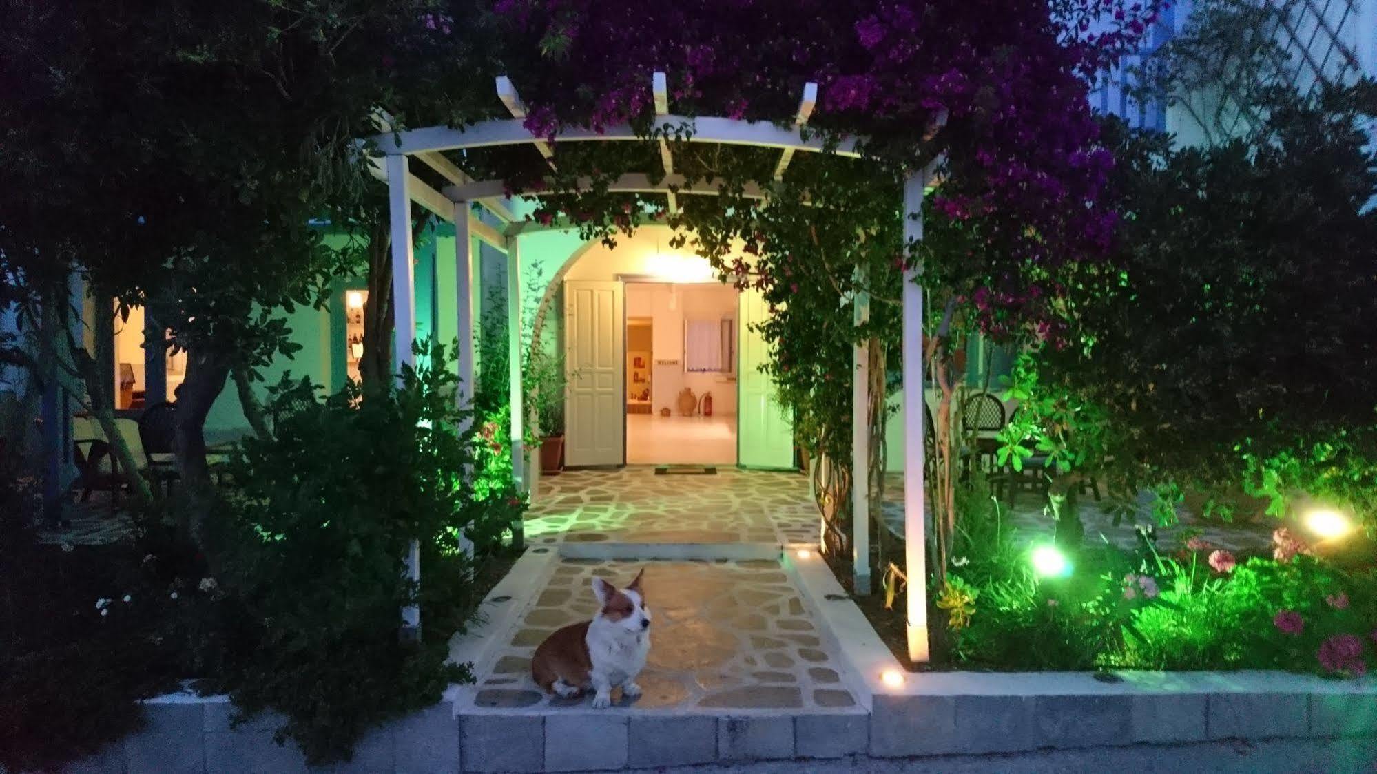 Panorama Hotel Πάρος Εξωτερικό φωτογραφία